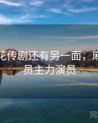 原来麻花传剧还有另一面，麻花的演员主力演员