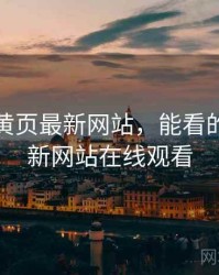 能看的黄页最新网站，能看的黄页最新网站在线观看