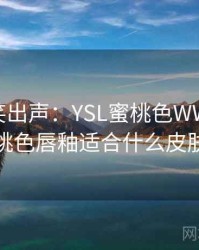 忍不住笑出声：YSL蜜桃色WWW合集，蜜桃色唇釉适合什么皮肤涂