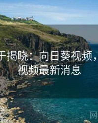 真相终于揭晓：向日葵视频，向日葵视频最新消息