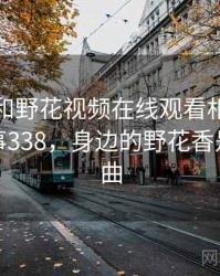 身边人和野花视频在线观看相关的故事 · 故事338，身边的野花香是什么歌曲