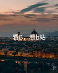 看B，看b站
