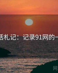 生活札记：记录91网的一天