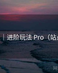91在线｜进阶玩法 Pro（站点指南）