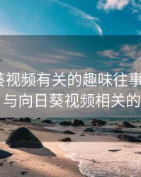 和向日葵视频有关的趣味往事 · 故事347，与向日葵视频相关的软件