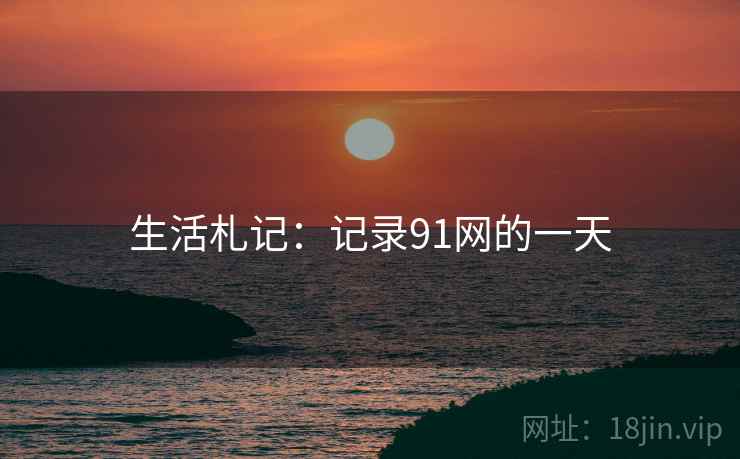 生活札记：记录91网的一天