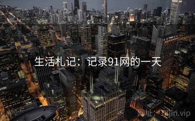 生活札记：记录91网的一天