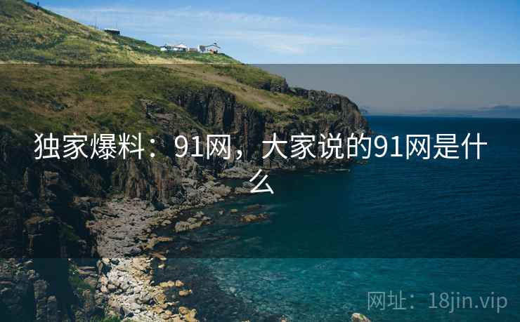 独家爆料：91网，大家说的91网是什么