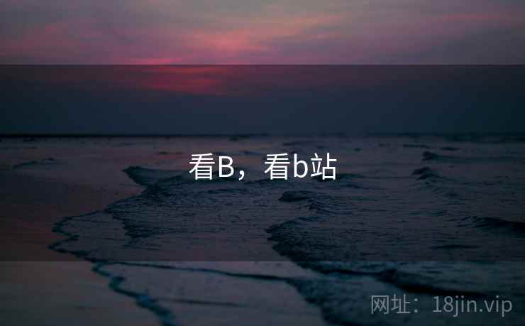 看B，看b站