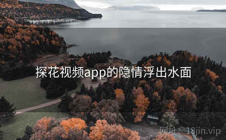 探花视频app的隐情浮出水面 探花视频app的隐情浮出水面
