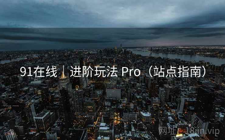 91在线|进阶玩法 Pro(站点指南) 91在线|进阶玩法 Pro(站点指南)